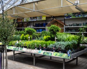 Medewerker Buitenafdeling 32 - 40u